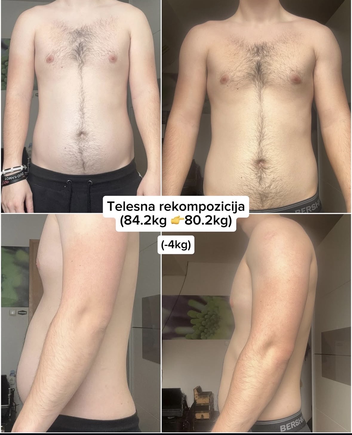 Transformacija stranke